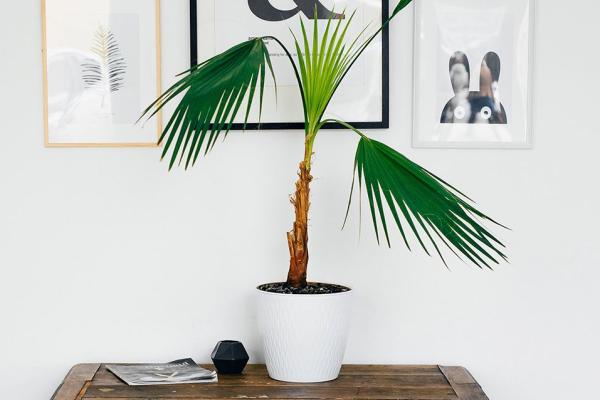 Visualize vertical interfaces